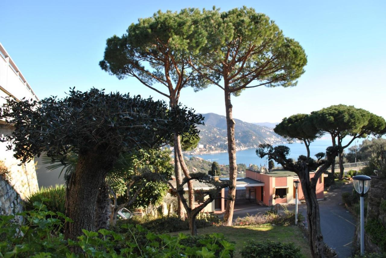 Residence "Delfino" Con Piscina E Campo Da Tennis Rapallo Dış mekan fotoğraf